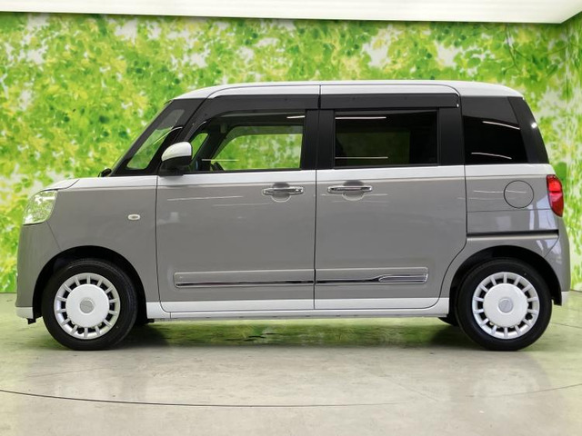 ムーヴキャンバスストライプス G