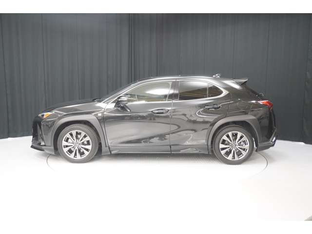 UX250h Fスポーツ