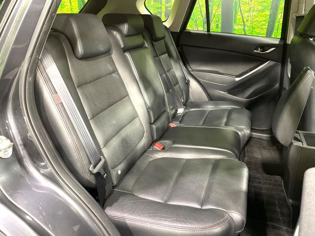 �㕔���Ȃ��C�ɂȂ�悤�ȃL�Y�E�����ւ��蓙�A�傫�ȃ_���[�W�͂Ȃ��A�ǍD�ȏ�Ԃł��B