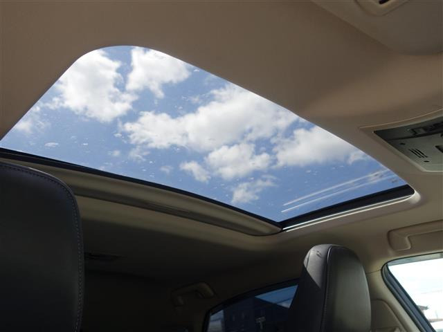 NX300h バージョンL