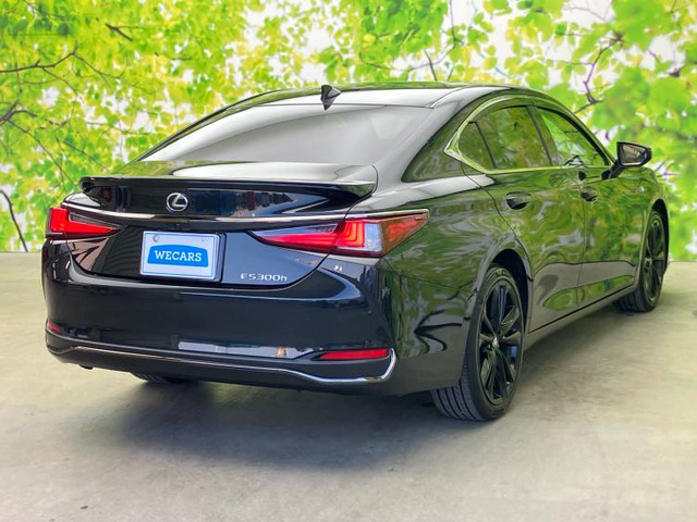 ES300h Fスポーツ