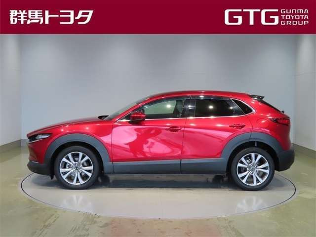 CX-302.0 20S