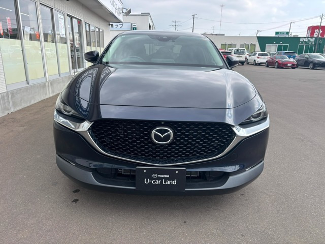 CX-302.0 20S プロアクティブ ツーリングセレクション 4WD