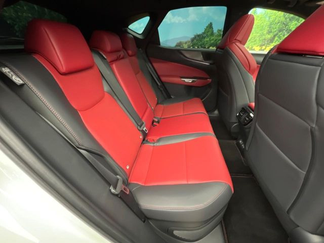 �㕔���Ȃ��C�ɂȂ�悤�ȃL�Y�E�����ւ��蓙�A�傫�ȃ_���[�W�͂Ȃ��A�ǍD�ȏ�Ԃł��B