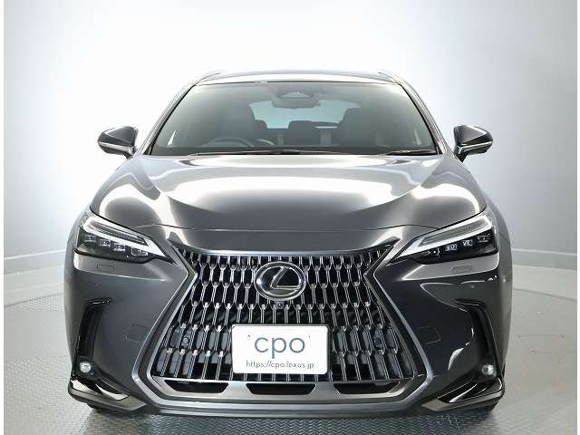 NX350h バージョンL 4WD