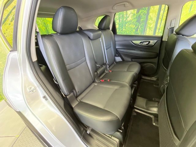 �㕔���Ȃ��C�ɂȂ�悤�ȃL�Y�E�����ւ��蓙�A�傫�ȃ_���[�W�͂Ȃ��A�ǍD�ȏ�Ԃł��B