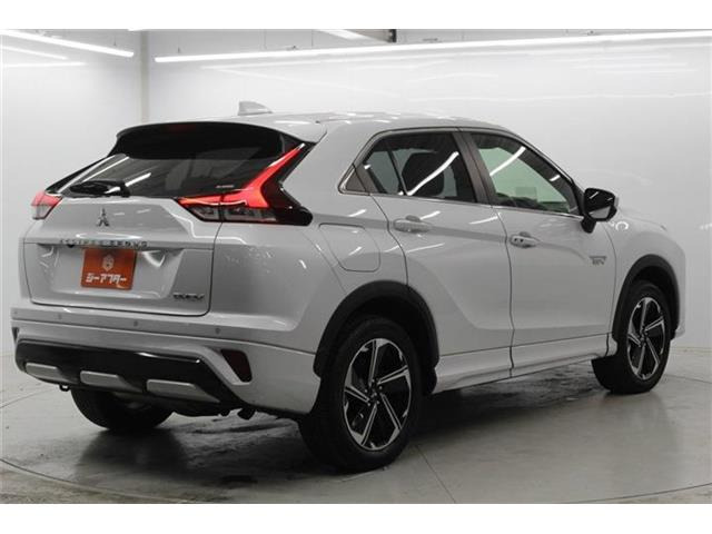 ���Ǝҗl�ւ̔̔��͂��f�肳���Ă��������܂��B �Ԍ������ԗ��̏ꍇ�́A�Ԍ����擾�������x�������z�ŕ\�����Ă���܂��B