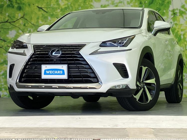 NX300 Iパッケージ