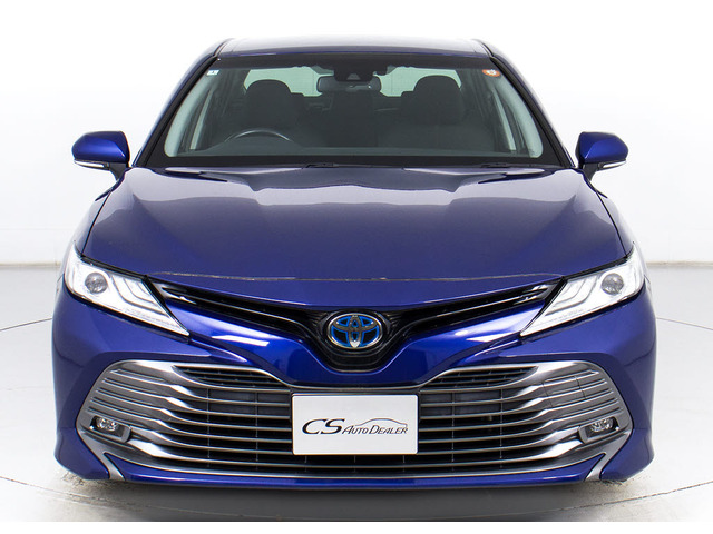 �t�����g�r���[�̑��݊���������������!!�w�b�h���C�g�͎��E�ǍD�̃��C�g�A����Ƀt�H�O���C�g���ځB�f�U�C�����������̂������ł��B