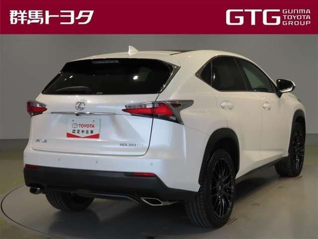 NX200t バージョンL