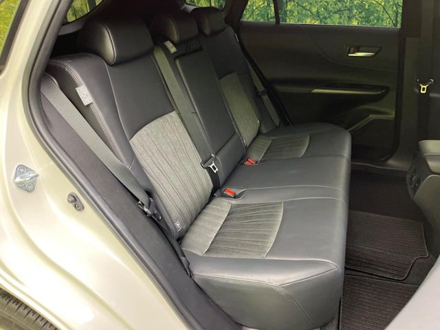 �㕔���Ȃ��C�ɂȂ�悤�ȃL�Y�E�����ւ��蓙�A�傫�ȃ_���[�W�͂Ȃ��A�ǍD�ȏ�Ԃł��B