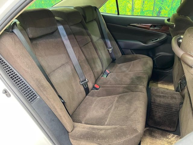 �㕔���Ȃ��C�ɂȂ�悤�ȃL�Y�E�����ւ��蓙�A�傫�ȃ_���[�W�͂Ȃ��A�ǍD�ȏ�Ԃł��B