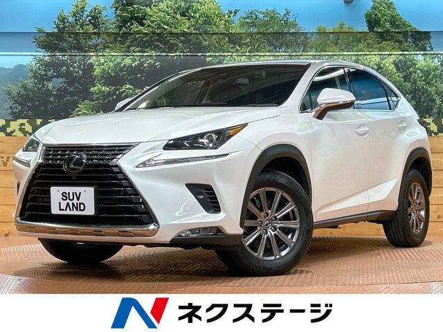 NX�i���N�T�X�j300 ���Îԉ摜