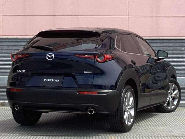 CX-302.0 20S プロアクティブ