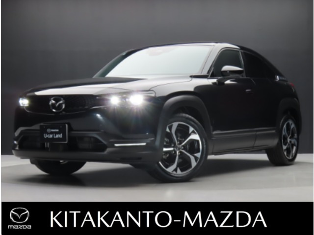 MX-302.0 ナチュラル モノトーン