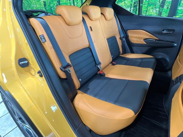 �㕔���Ȃ��C�ɂȂ�悤�ȃL�Y�E�����ւ��蓙�A�傫�ȃ_���[�W�͂Ȃ��A�ǍD�ȏ�Ԃł��B