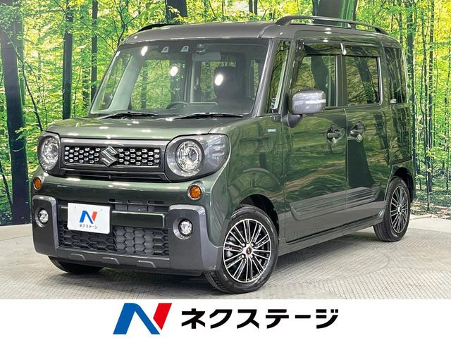 �X�y�[�V�A�M�A(�X�Y�L) �n�C�u���b�h(HYBRID) XZ�^�[�{ ���Îԉ摜