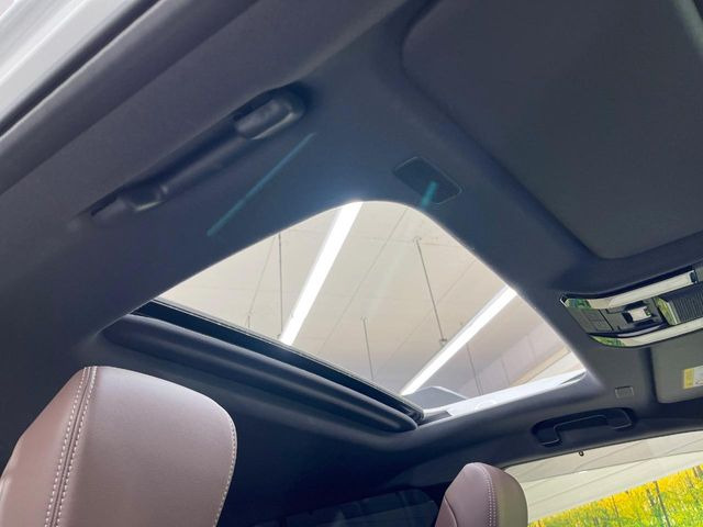 �y�T�����[�t�z�J���������Ղ�̊󏭑����A�T�����[�t����������Ă��܂�!�ԓ��ɖ�����������ꂽ��i�F���y���ވȊO�ɂ��A�ԓ��̋�C���ȒP�Ɋ��C�ł��ĉ��K�ł�!