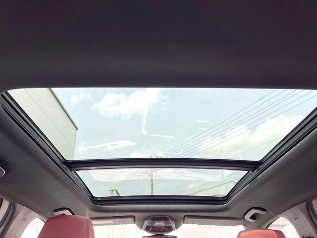 ���p�m���}�~�b�N�K���X���[�t:�唗�͂̃p�m���}���[�t�́A�㕔���Ȃɂ܂ő����Ă���A�J���I�ȋ�Ԃ����y���݂��������܂��B