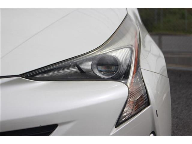 �����X�o���Ȃ����q�l�A���Ǝҗl�ւ̔̔��͂��f�肳���Ă��������܂��B�Ԍ������ԗ��̏ꍇ�́A�Ԍ����擾�������x�������z�ŕ\�����Ă���܂��B