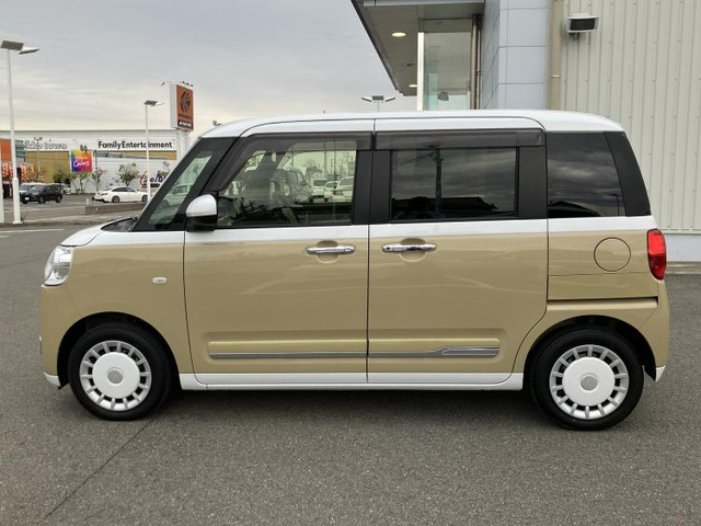 ムーヴキャンバスストライプス G