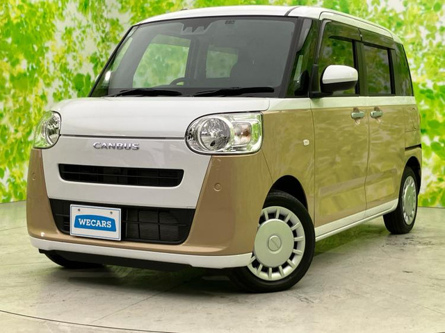 ムーヴキャンバスストライプス X