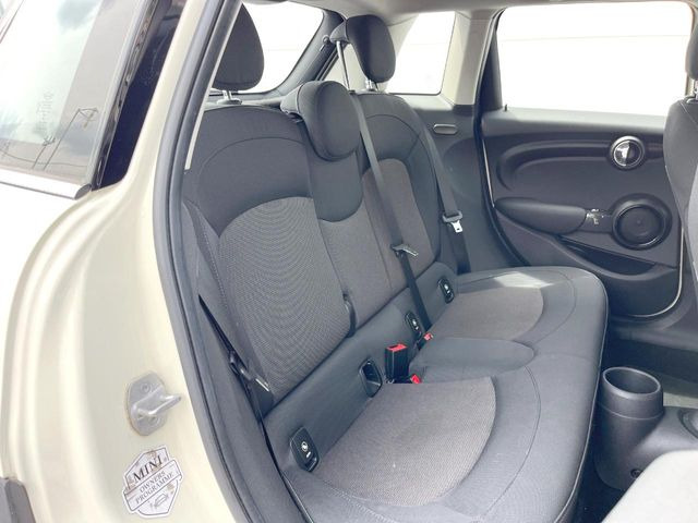 ���㕔���Ȃ��C�ɂȂ�悤�ȃL�Y�E�����ւ��蓙�A�傫�ȃ_���[�W�͂Ȃ��A�ǍD�ȏ�Ԃł��B