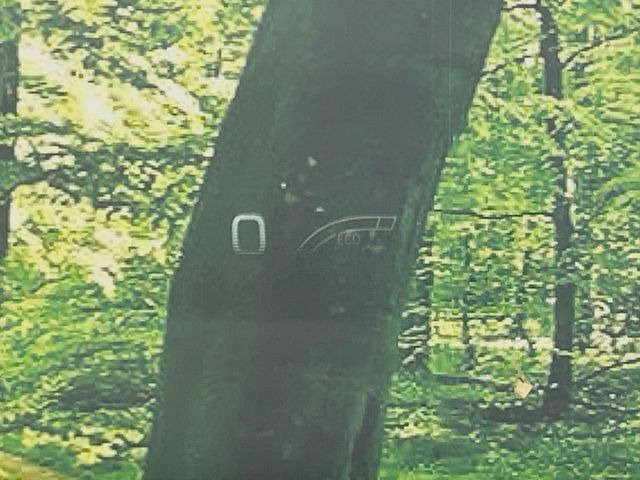 �y�w�b�h�A�b�v�f�B�X�v���C�z���݂̑��x�⑖�s�����f�W�^���\���ŉ^�]�ȑO���̃K���X�ɓ��e!�^�]���A�ڐ������炳���K�v�ȏ����m�F�ł���̂łƂ��Ă��֗��ň��S!