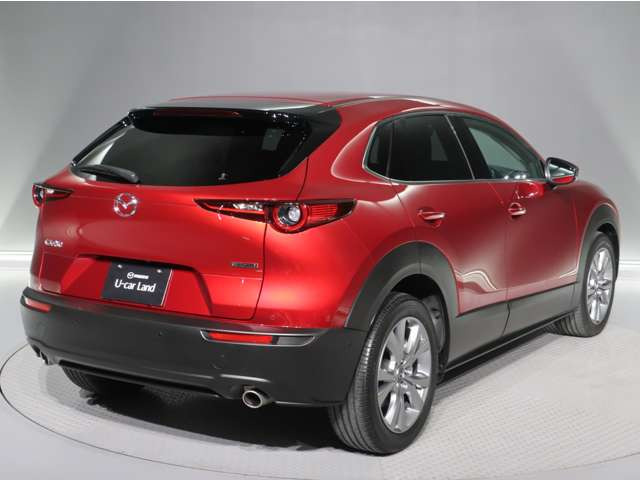 CX-301.8 XD プロアクティブ