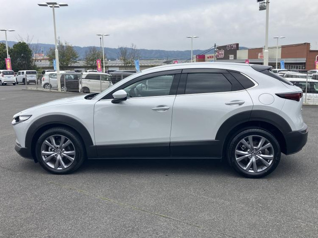 CX-301.8 XD Sパッケージ