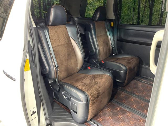 �㕔���Ȃ��C�ɂȂ�悤�ȃL�Y�E�����ւ��蓙�A�傫�ȃ_���[�W�͂Ȃ��A�ǍD�ȏ�Ԃł��B