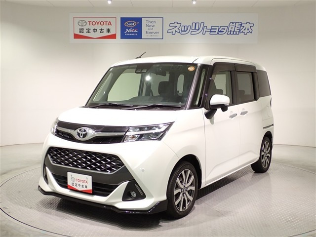 タンク1.0 カスタム G-T