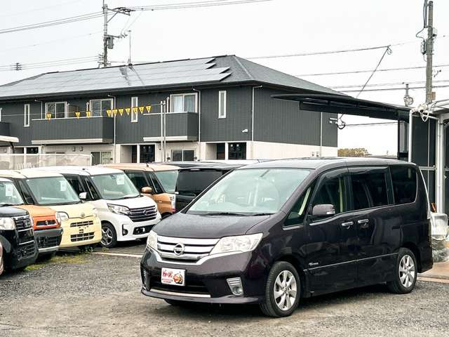 �y39.8���X�J�[�Y�̎��q���������������A���ɂ��肪�Ƃ��������܂��B���������S�s���c1186-7TEL:0942-73-6060�܂ł��⍇����������