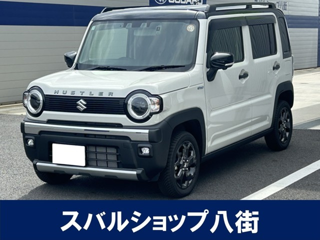 ハスラータフワイルド