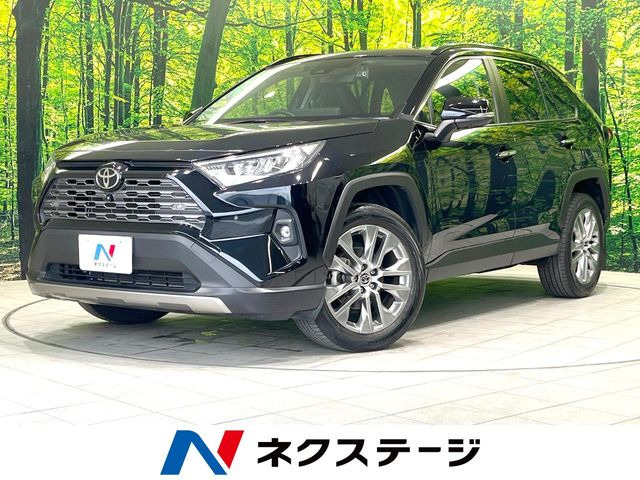 RAV4(トヨタ) 2.0 G Zパッケージ 4WD 中古車画像