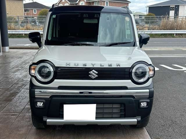 ハスラータフワイルド