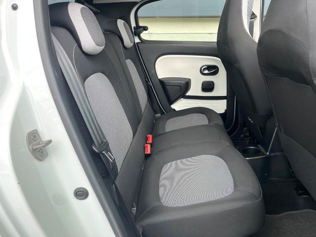 ���㕔���Ȃ��C�ɂȂ�悤�ȃL�Y�E�����ւ��蓙�A�傫�ȃ_���[�W�͂Ȃ��A�ǍD�ȏ�Ԃł��B