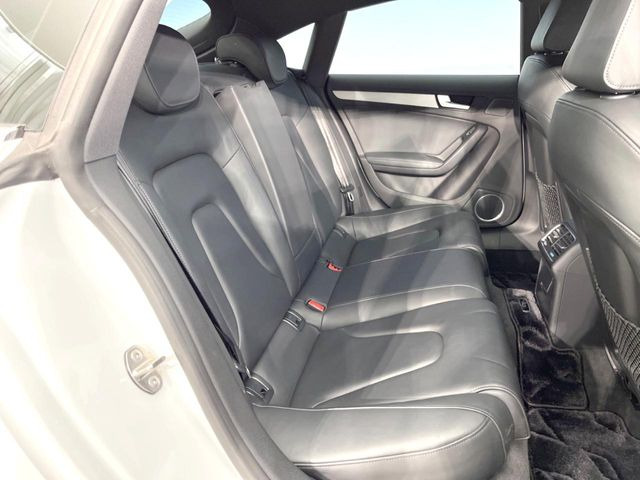 ���㕔���Ȃ��C�ɂȂ�悤�ȃL�Y�E�����ւ��蓙�A�傫�ȃ_���[�W�͂Ȃ��A�ǍD�ȏ�Ԃł��B