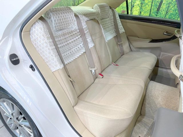 �㕔���Ȃ��C�ɂȂ�悤�ȃL�Y�E�����ւ��蓙�A�傫�ȃ_���[�W�͂Ȃ��A�ǍD�ȏ�Ԃł��B