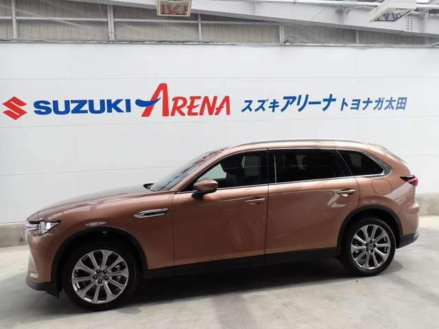 ���N���}�̏�Ԃɔ[��!�Ӓ菑�t���p�b�ƌ��킩��Ȃ������ȏ���C�����E�E�E��O�ҋ@��JAAA���{�����ԊӒ苦��̃v���Ӓ�m�ɂ���Ď��q��Ԃׂ̍��ȕ����܂ŊӒ���s�Ȃ��Ă��܂�!��������S�E�[����