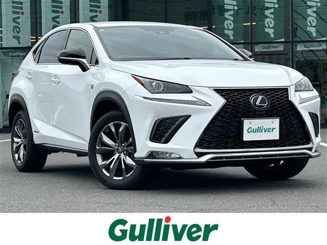 NX300h Fスポーツ