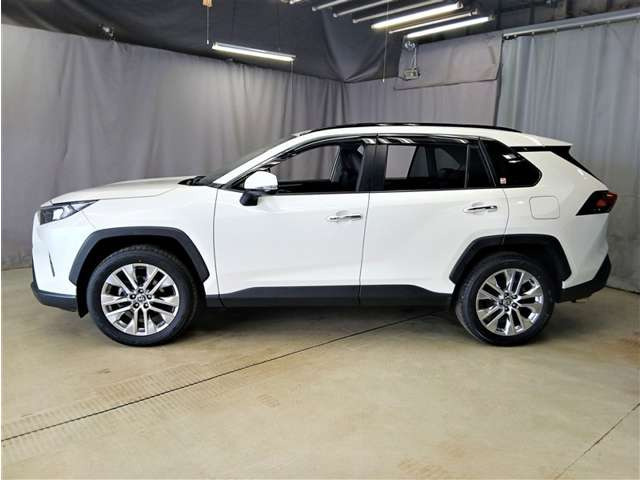 RAV4