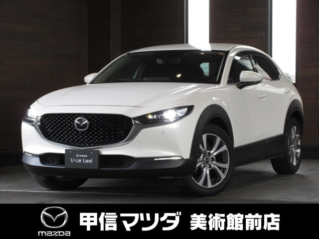 CX-302.0 20S プロアクティブ