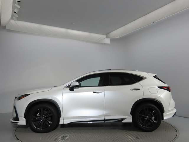 NX250 バージョンL