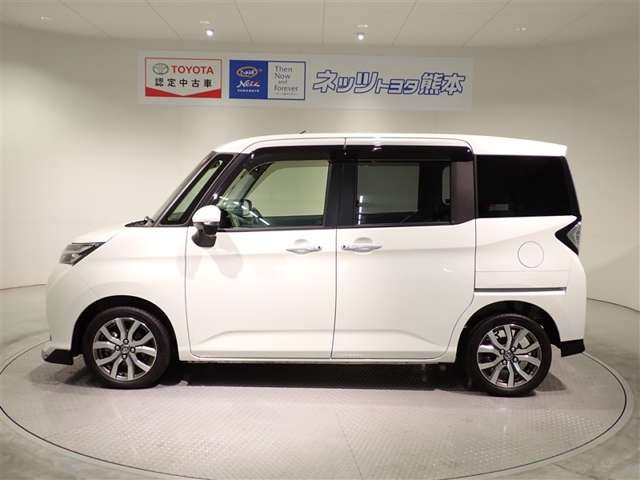 タンク1.0 カスタム G-T