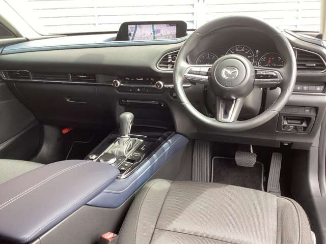 CX-302.0 20S プロアクティブ