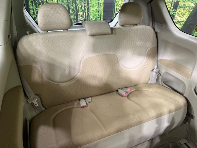 �㕔���Ȃ��C�ɂȂ�悤�ȃL�Y�E�����ւ��蓙�A�傫�ȃ_���[�W�͂Ȃ��A�ǍD�ȏ�Ԃł��B