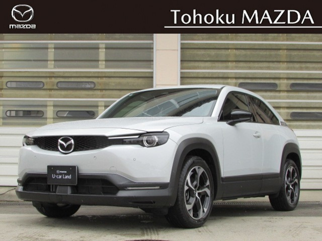 MX-302.0 ナチュラル モノトーン 4WD