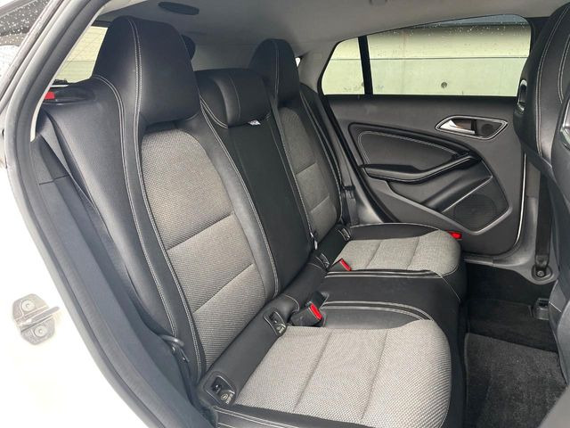 ���㕔���Ȃ��C�ɂȂ�悤�ȃL�Y�E�����ւ��蓙�A�傫�ȃ_���[�W�͂Ȃ��A�ǍD�ȏ�Ԃł��B