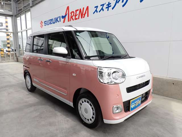 ムーヴキャンバスストライプス G